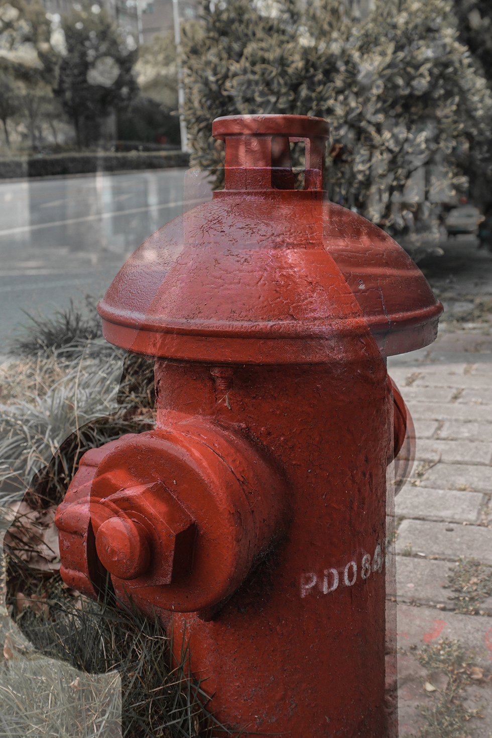 Surrealism and Seriality